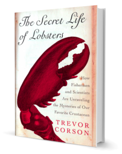 The Secret Life of Lobsters - medium