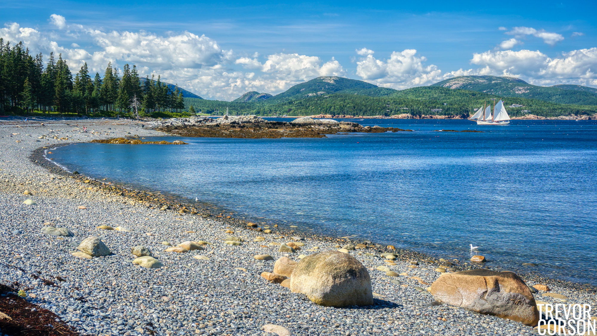 Images Little Cranberry Island TREVOR CORSON