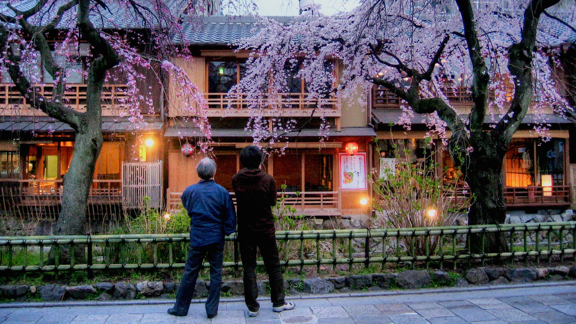 Dusk blossoms, Kyoto