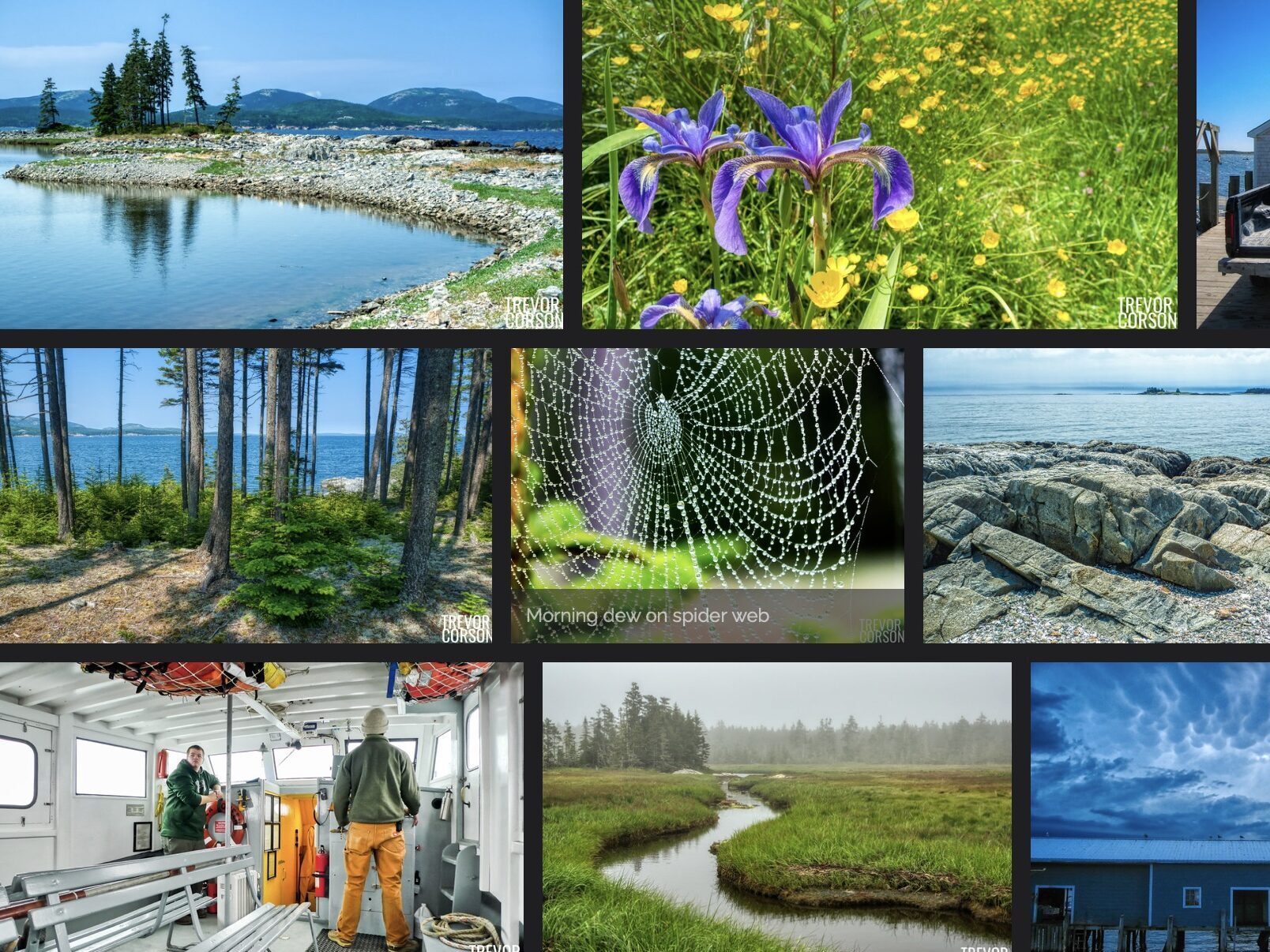 Little Cranberry Island scenery - thumbnails